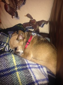 20150529_011434000_iOS