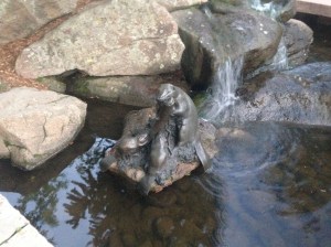 20150621_023609541_iOS