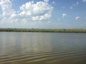 20150711_205030383_iOS