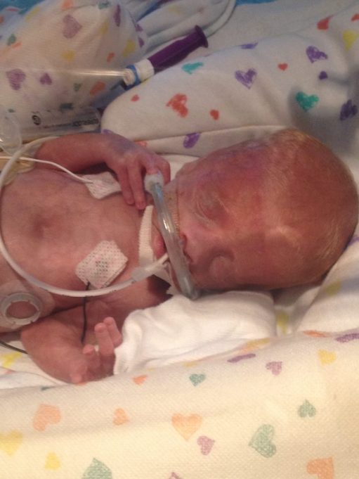 10646963_10100945500551539_4251277037651803575_n