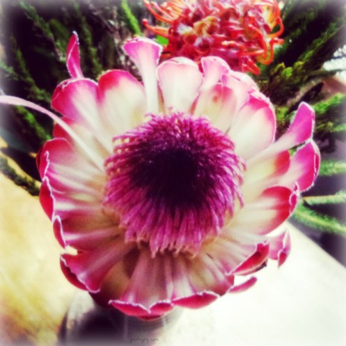 write31days-journeying-into-joy-developing-happiness-habits