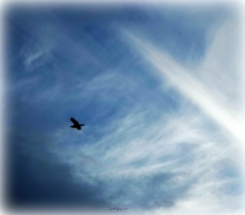 write31days-journeying-into-joy-embracing-freedom