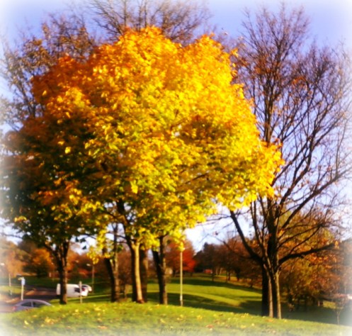 write31days-journeying-into-joy-finding-joy-in-jesus