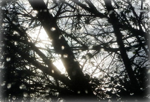 write31days-journeying-into-joy-joy-in-becoming-wounded-healers