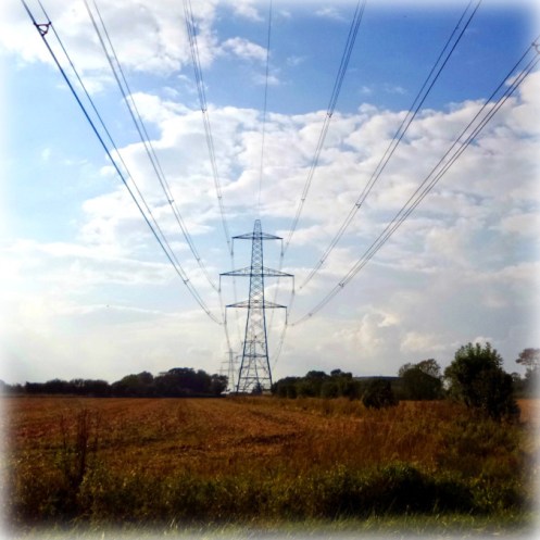 write31days-journeying-into-joy-looking-up