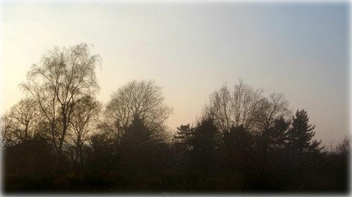 write31days-journeying-into-joy-transcendence-twilight