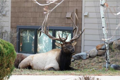 15542293_935470993252694_4515330027224658276_n