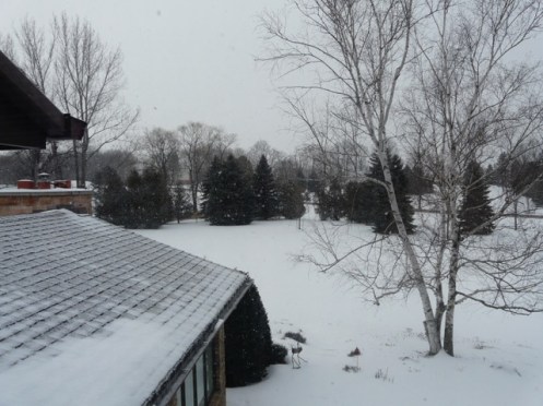 snowy-scene-winter-welcome