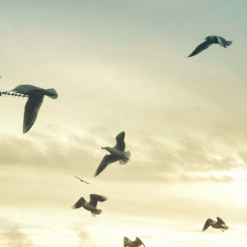 about-calling-priorities-holy-spirit-pj