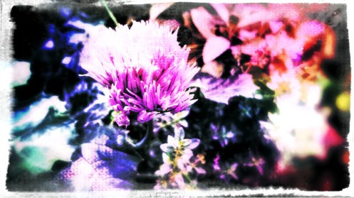 breathe-fmf-poetry-joy