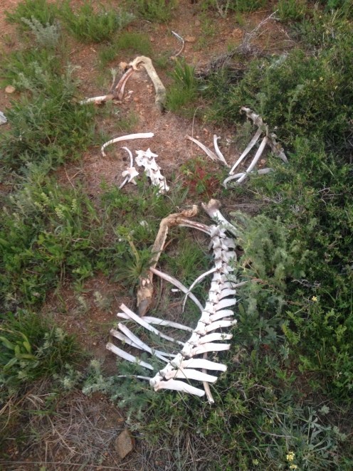 20150607_022736077_iOS