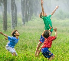 photobyrobertcollins