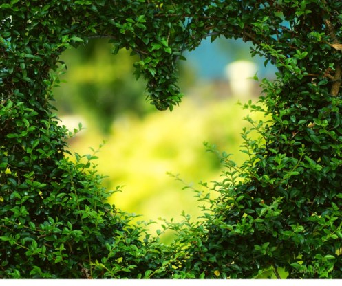 just - when the wound of inadequacy is no match for grace - heart - hedge @poetryjoy.com